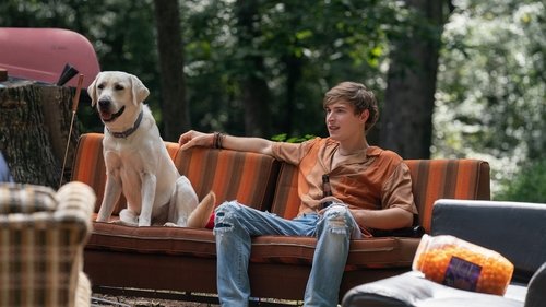 Dog Gone (2023) Download Full HD ᐈ BemaTV