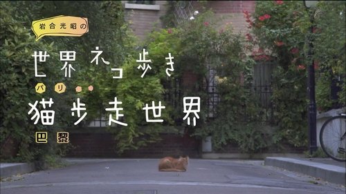 Épisode 24