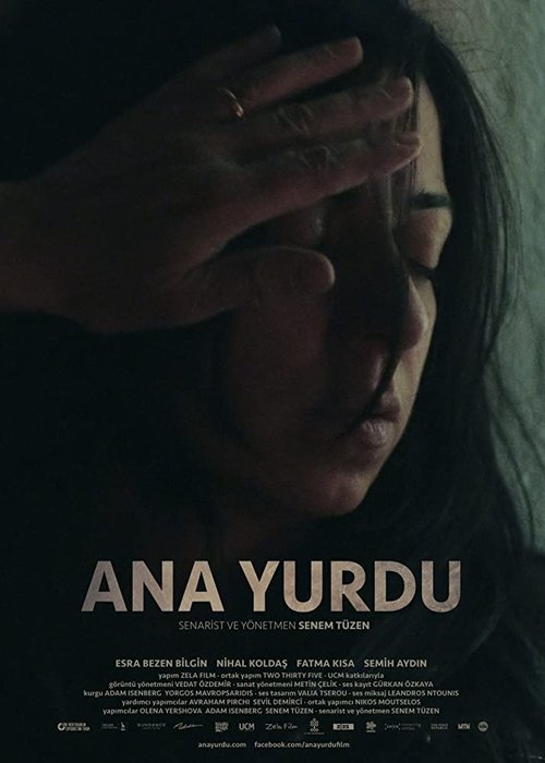 Ana Yurdu movie poster player