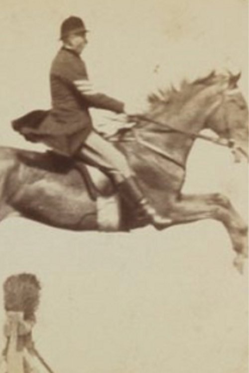 Horse and Rider Jumping Over an Obstacle cover