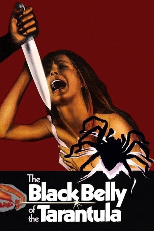 Poster La tarantola dal ventre nero 1971