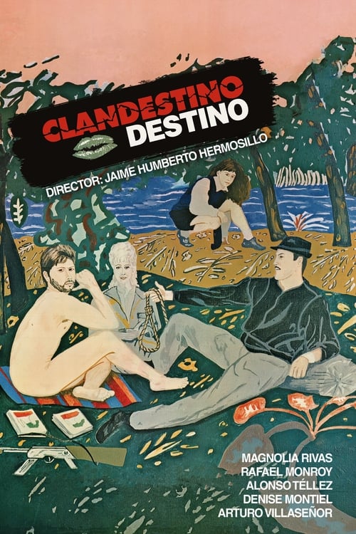 Clandestino destino poster