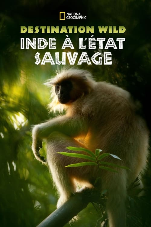 Destination Wild : L'Inde à l'état sauvage (2012)