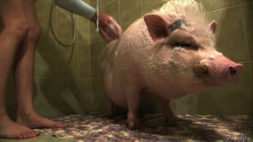 Image de l'épisode 4