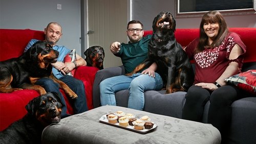 Poster della serie Gogglebox