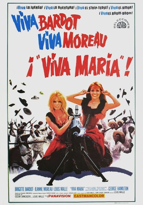 Viva Maria! poster