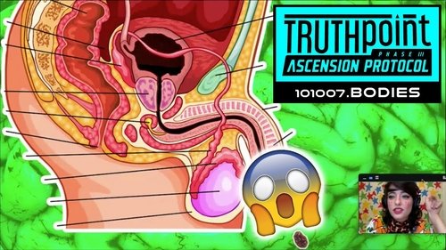Épisode 7