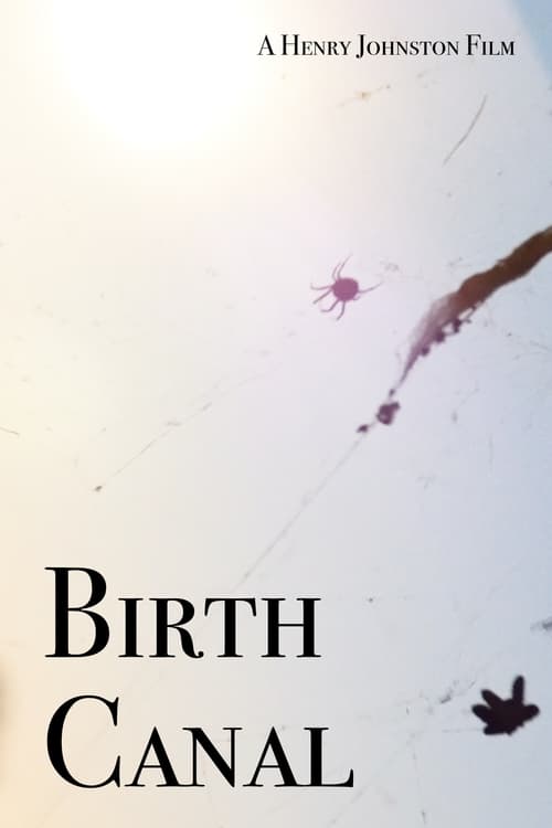 Poster Birth Canal 2020