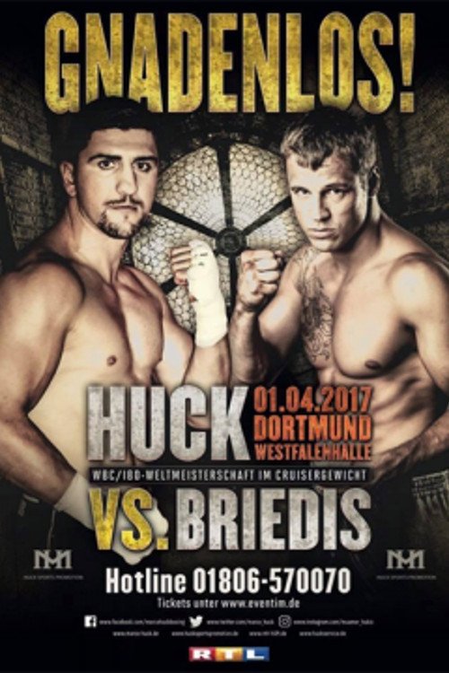 Marco Huck vs Mairis Briedis 2017