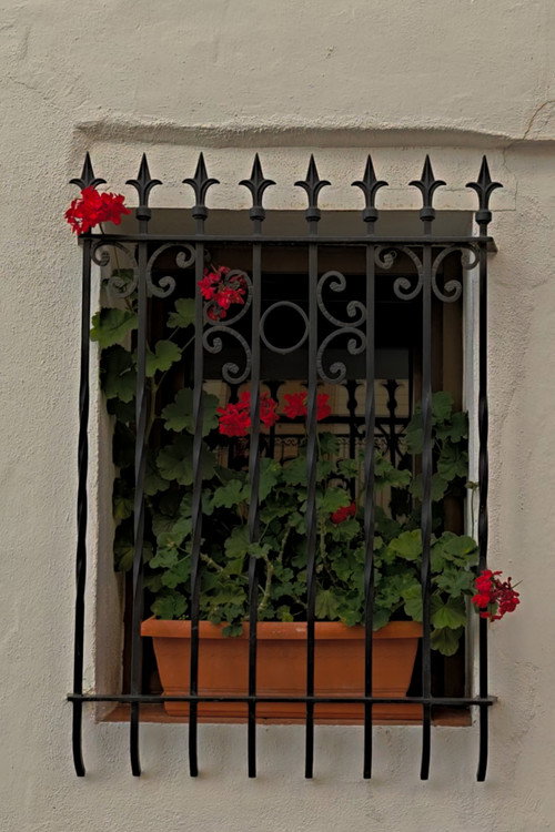 Las calles que nos quedan