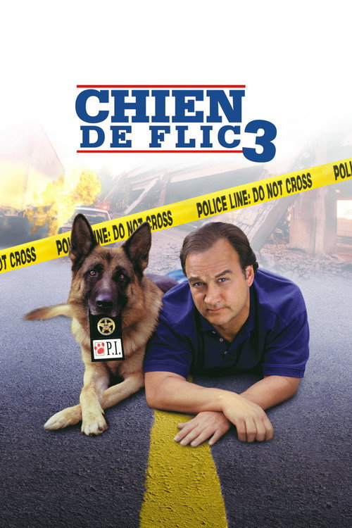 K-9: P.I. poster