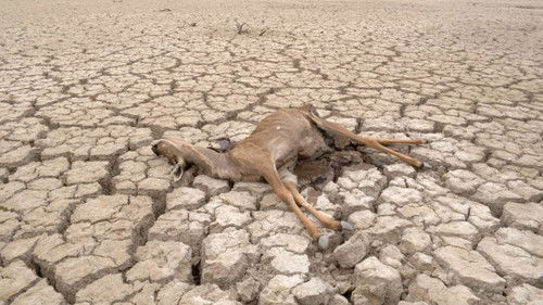 2030 At a Crossroads to the Future: Hunger Pandemic - The Catastrophic Cost of Excess