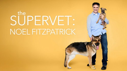 The Supervet: Noel Fitzpatrick
