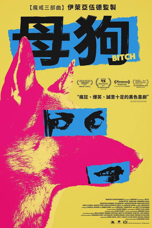 母狗