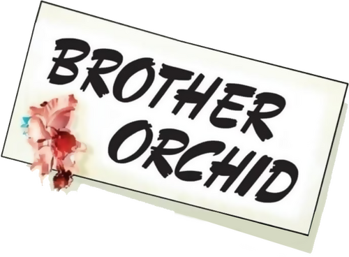 Brother Orchid