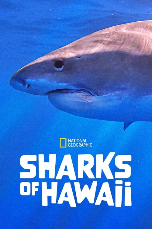 Poster Sharks of Hawaii 2021
