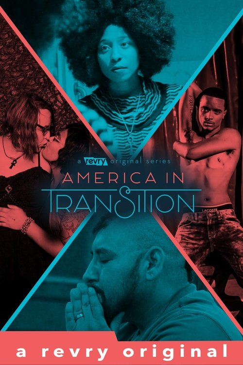 America in Transition: A Family Matter movie poster player
