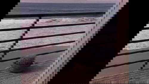 Once Burned, Twice Chey