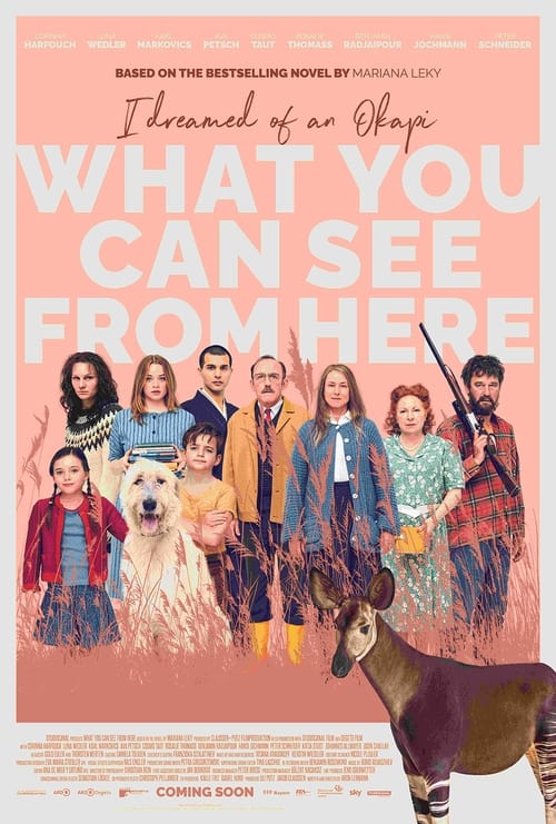 Watch What You Can See from Here Online Full Movie