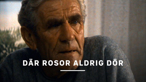 Där rosor aldrig dör Backdrop Blur