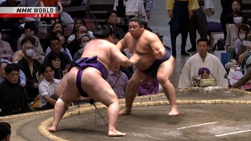 Épisode 8