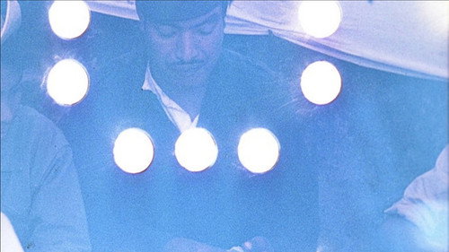 Looking for Mushrooms