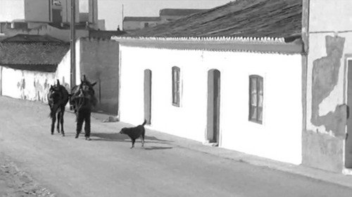 Lisboa, o Direito à Cidade