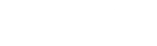 Ligeiramente Grávidos - Logo 4
