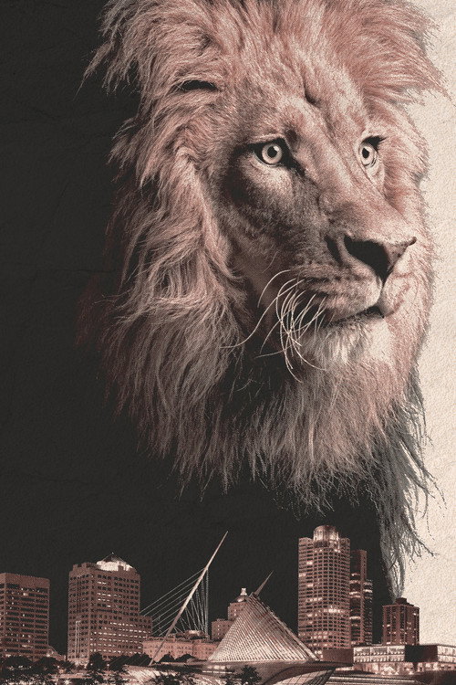 Affiche de Urban Predator: Lion on the Loose