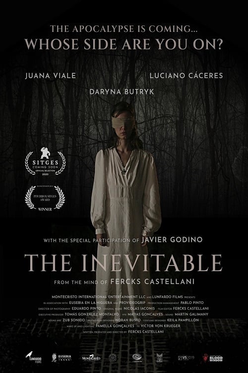 L'inevitabile poster