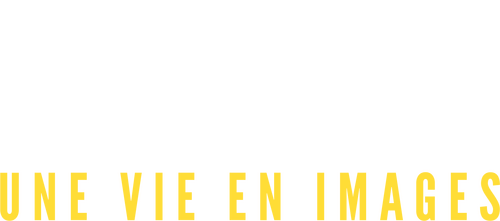 Bogart: Life Comes in Flashes