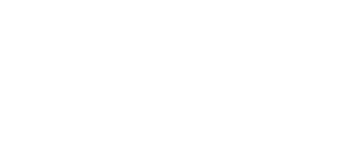 Búsqueda frenética