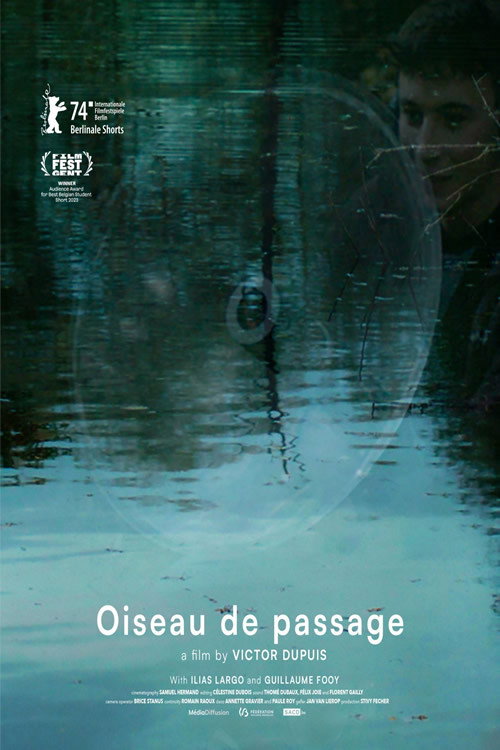 Image du film