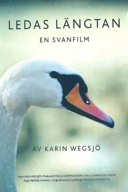 Ledas längtan : En svanfilm 2006