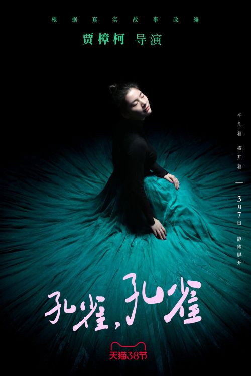 Pôster oficial de 孔雀，孔雀 (2022) - Drama