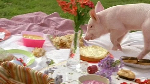 Image de l'épisode 10