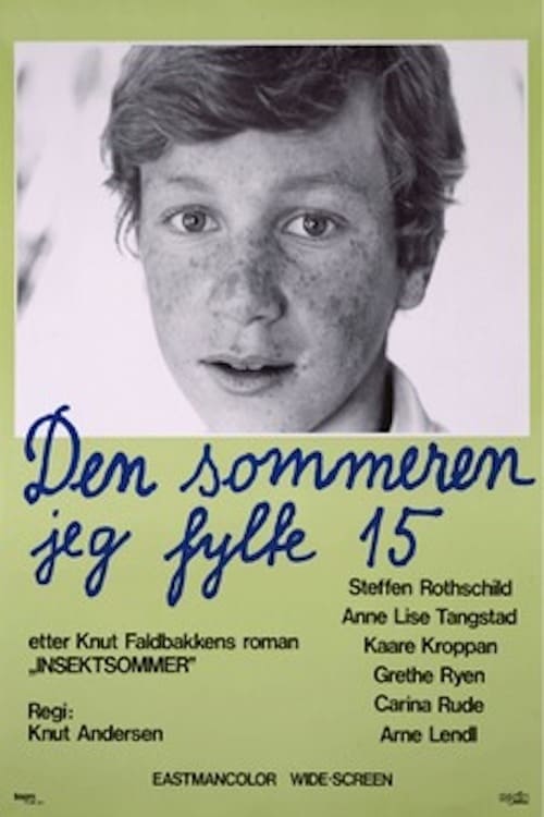 Den sommeren jeg fylte 15 1976