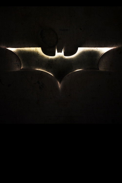 Pòster de El Cavaller Fosc - Col·lecció