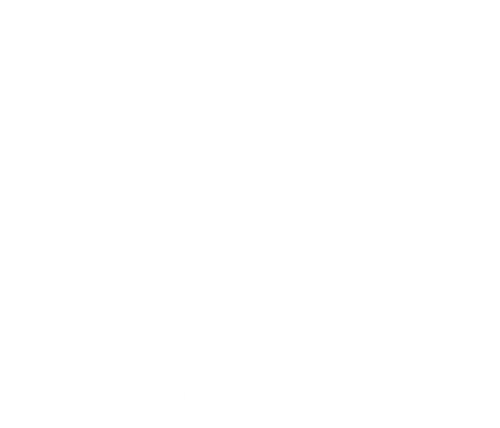 Samedi d'en rire : la quotidienne