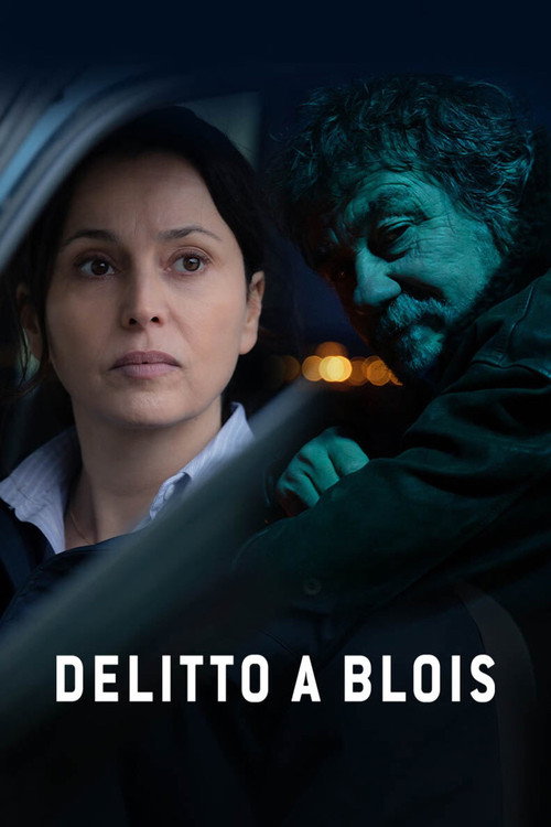 Delitto a Blois poster