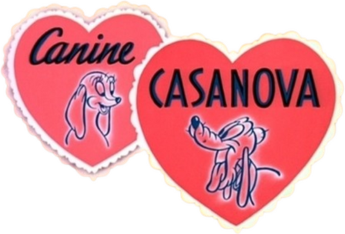 Canine Casanova