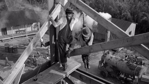 The Treasure of the Sierra Madre