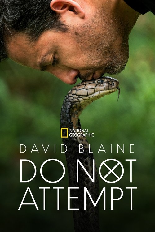 Where to stream David Blaine Do Not Attempt