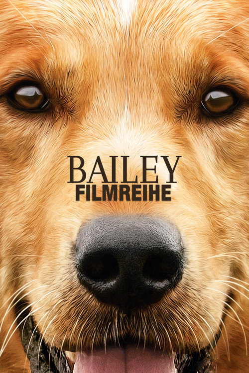 Bailey Filmreihe