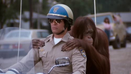 Poster della serie CHiPs