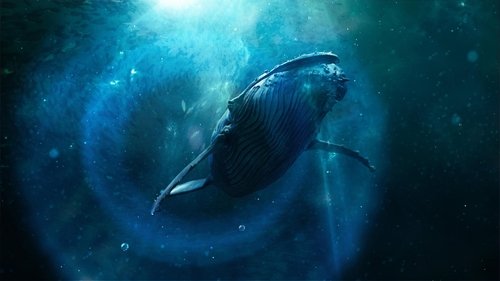 Image de l'épisode 2