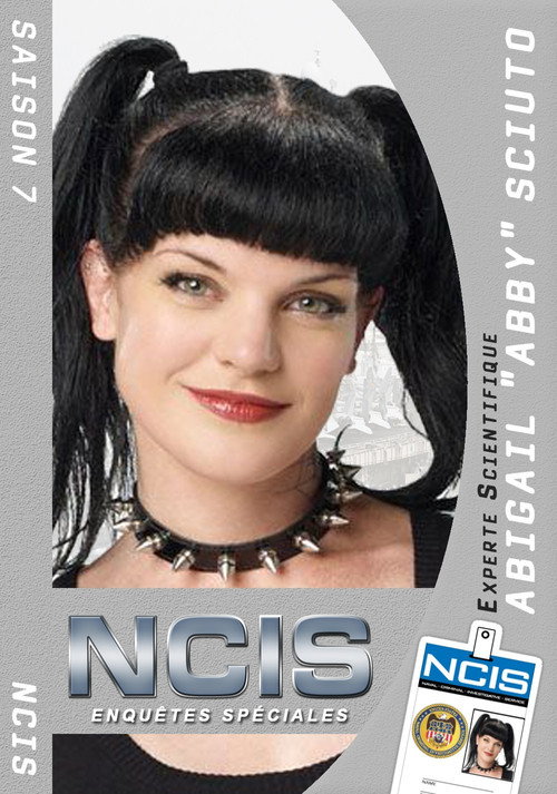 Affiche de NCIS : Enquêtes Spéciales saison 7