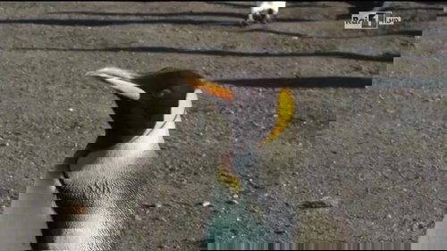 Image de l'épisode 8