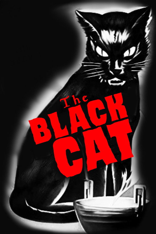 The Black Cat poster