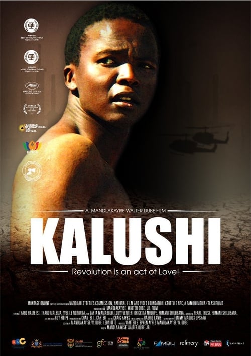 Image Kalushi: The Story of Solomon Mahlangu – Kalushi: Povestea lui Solomon Mahlangu (2014)